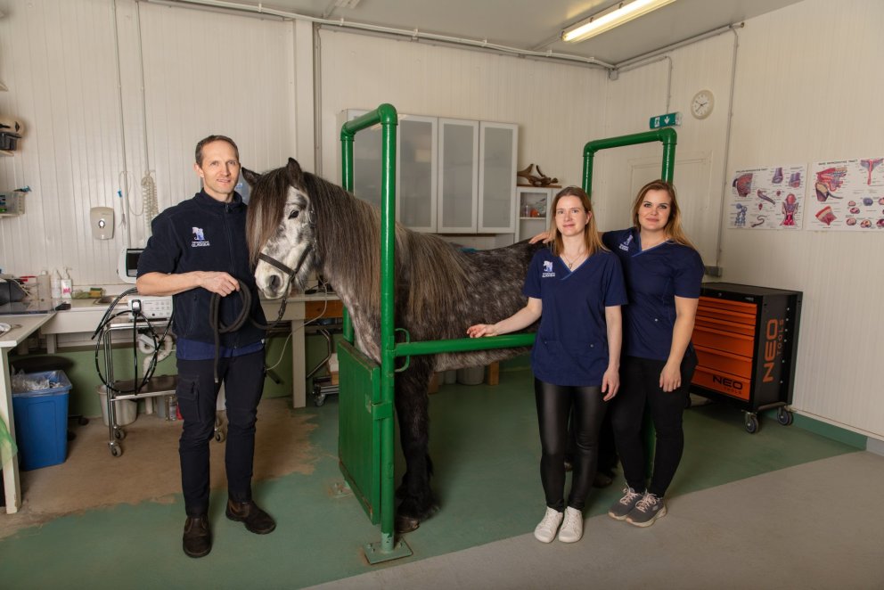 Atvinnulífs Sýningu 20-21 maí
