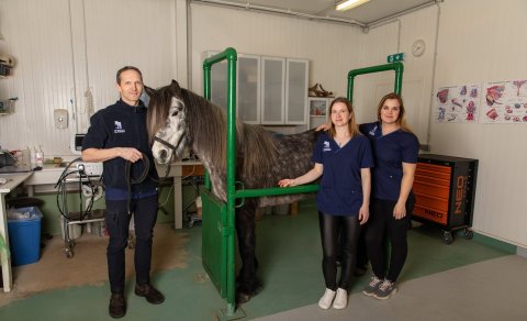 Atvinnulífs Sýningu 20-21 maí